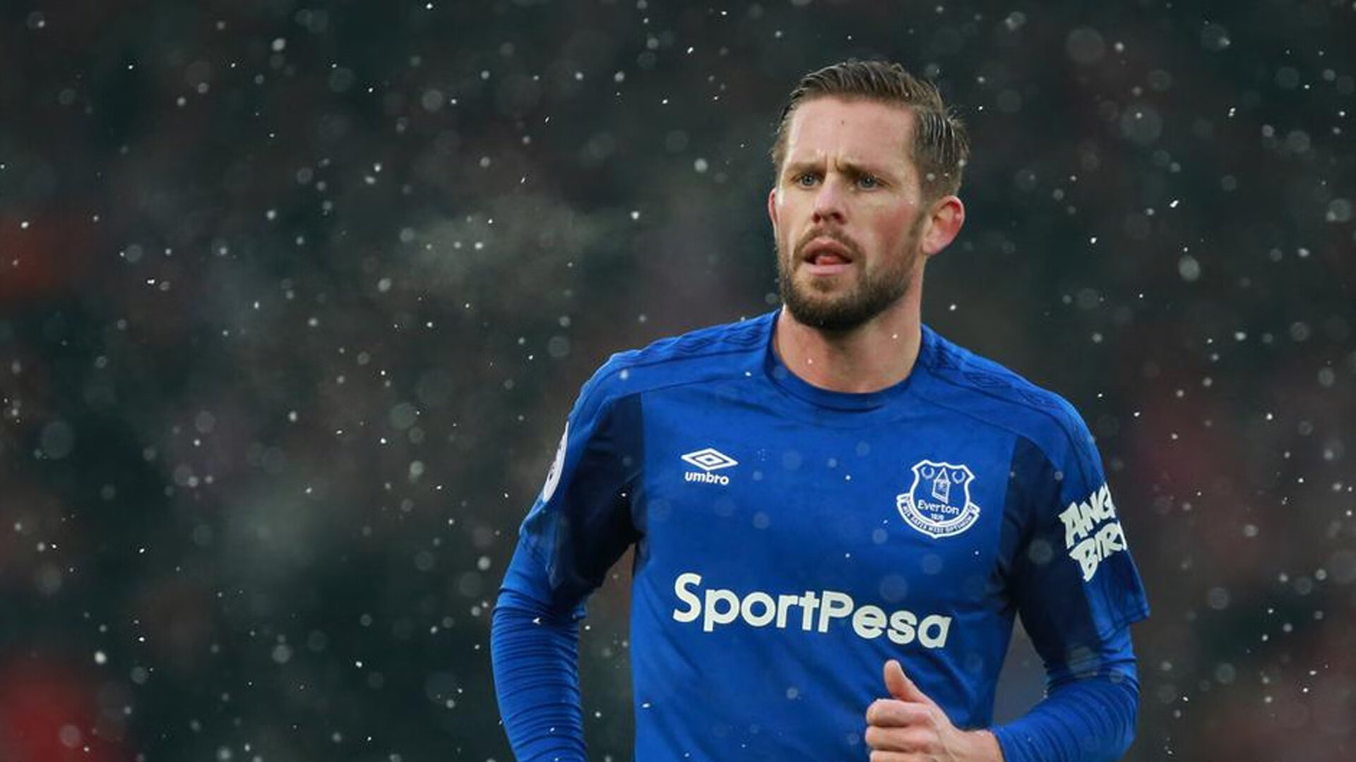 中国足球年度比赛节奏波动图表，中国足球的比赛